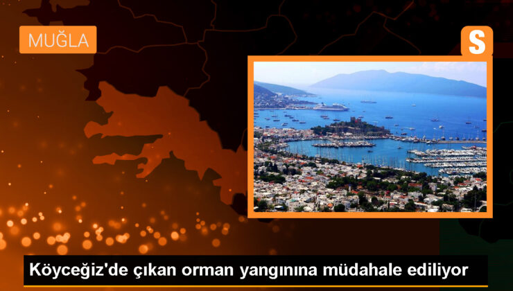 Muğla’da Orman Yangınına Müdahale Ediliyor