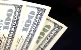 Özgür piyasada döviz fiyatları