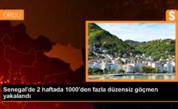 Senegal’de 1000’den fazla sistemsiz göçmen yakalandı