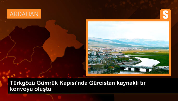 Türkgözü Gümrük Kapısı’nda Sistemsel Sorun: Tır Konvoyu Oluştu