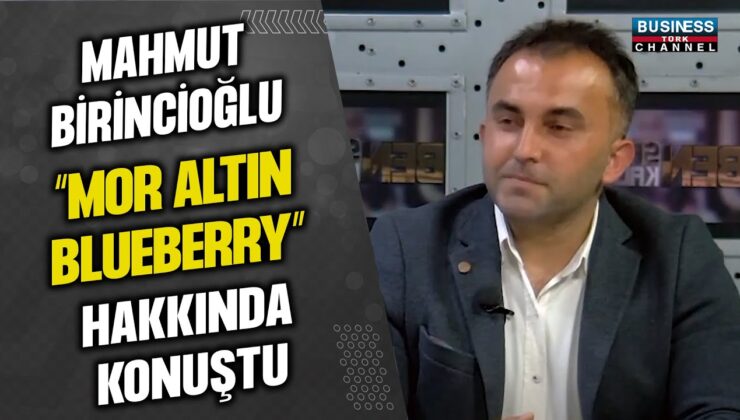 MAHMUT BİRİNCİOĞLU: “MOR ALTIN BLUEBERRY” HAKKINDA KONUŞTU…