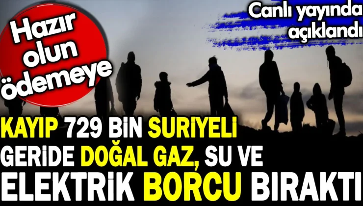 Kayıp 729 Bin Suriyeli Doğal Gaz, Su ve Elektrik Borcu Bıraktı: Ödeme Sorunu Ortaya Çıktı