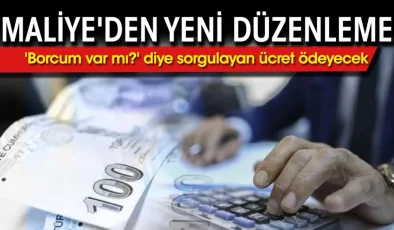 Maliye’den Yeni Düzenleme: Vergi Sorgulama Ücretli Hale Gelecek