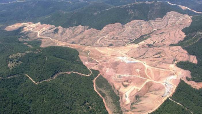 Madencilik İle Ağaç Kesimi Arasındaki Dengesizlik: Kaz Dağları’nda Tartışmalı Rakamlar