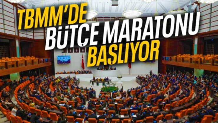 “Türkiye Büyük Millet Meclisi, 2025 Yılı Bütçe Görüşmelerine Hazır”