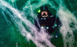 Marmara Denizi’nde Müsilaj Kabusu: 7 Haftada Tüm Bölgeyi Sardı