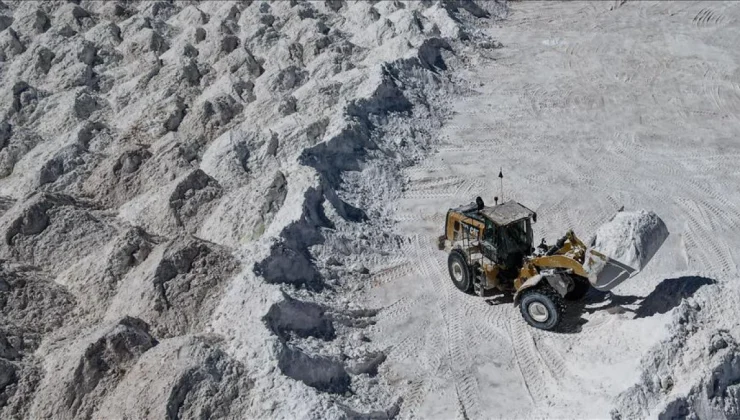 TRUMP’IN TALEPLERİ SONRASI UKRAYNA MADENLERİ GÜNDEMDE!
