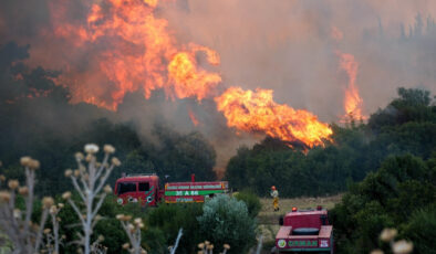 İzmir Aliağa’da Çöp Yangını: Alevler Ormana Sıçradı, Bir Ev Kullanılamaz Hale Geldi