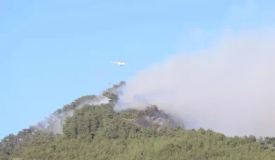 MUĞLA VE MANİSA’DAKİ ORMAN YANGINLARI SÖNDÜRÜLDÜ