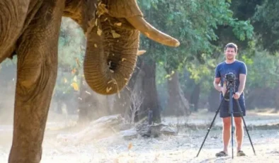 Doğa tutkusu faciayla bitti: FC Conradie, fil saldırısında yaşamını yitirdi
