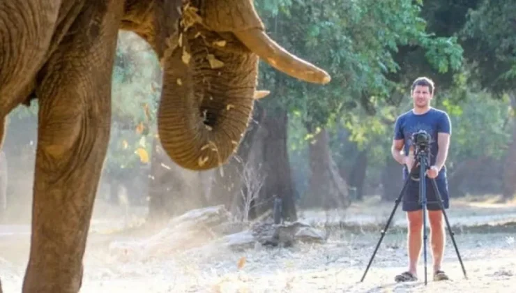 Doğa tutkusu faciayla bitti: FC Conradie, fil saldırısında yaşamını yitirdi