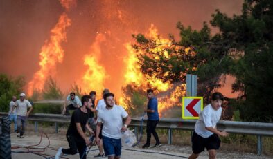 bursa’da orman yangını: sabotaj şüphesiyle 1 kişi gözaltında
