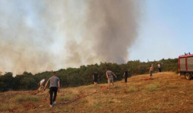 Şarköy’de anız yangını paniği: Ormana ve evlere sıçradı