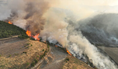 Urla’da Ormanlık Alanda Korkutan Yangın