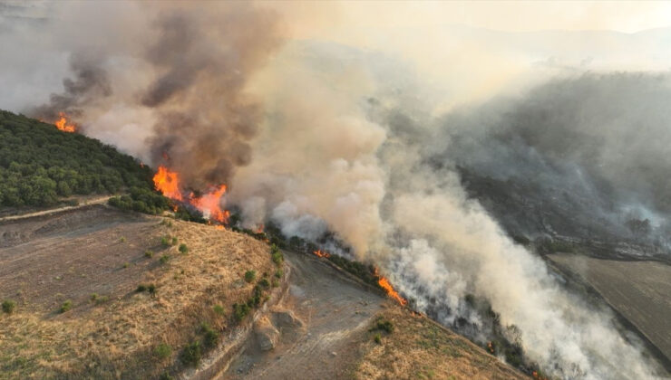 Urla’da Ormanlık Alanda Korkutan Yangın