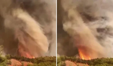 sakarya’da orman yangını: alevler hortum oluşturdu