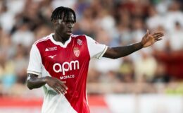 Aslan, Singo’yu getiriyor! Yarın İstanbul’da