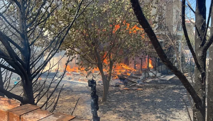 Çanakkale’de Korkutan Orman Yangını: Alevler Evlere Dayandı