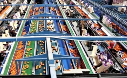 İHRACATTA RİSKLİ DURUM: “4 ÜRÜNDEN 3’Ü AB’YE GİREMİYOR”