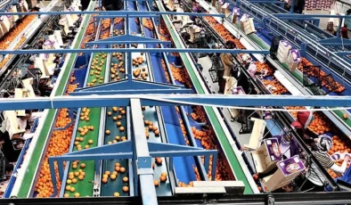 İHRACATTA RİSKLİ DURUM: “4 ÜRÜNDEN 3’Ü AB’YE GİREMİYOR”