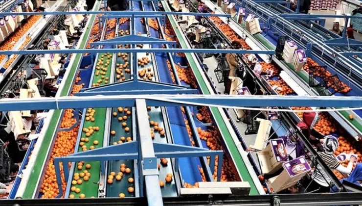 İHRACATTA RİSKLİ DURUM: “4 ÜRÜNDEN 3’Ü AB’YE GİREMİYOR”